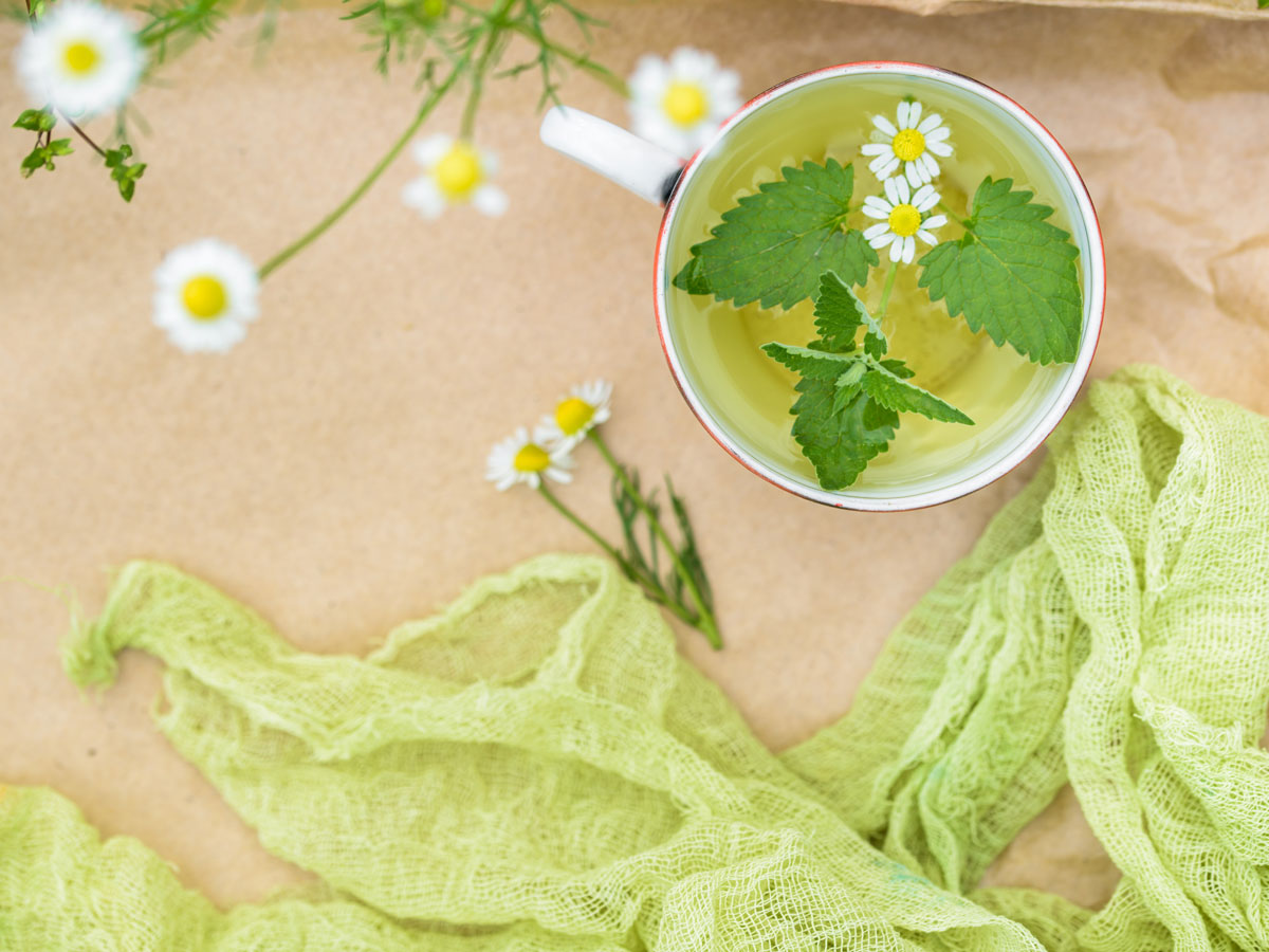 Energy & Metabolism Support Teas | Herbal & Green Teas for Daily ...