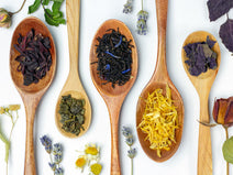 Our Ingredients