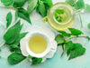 Urinary & Kidney Support