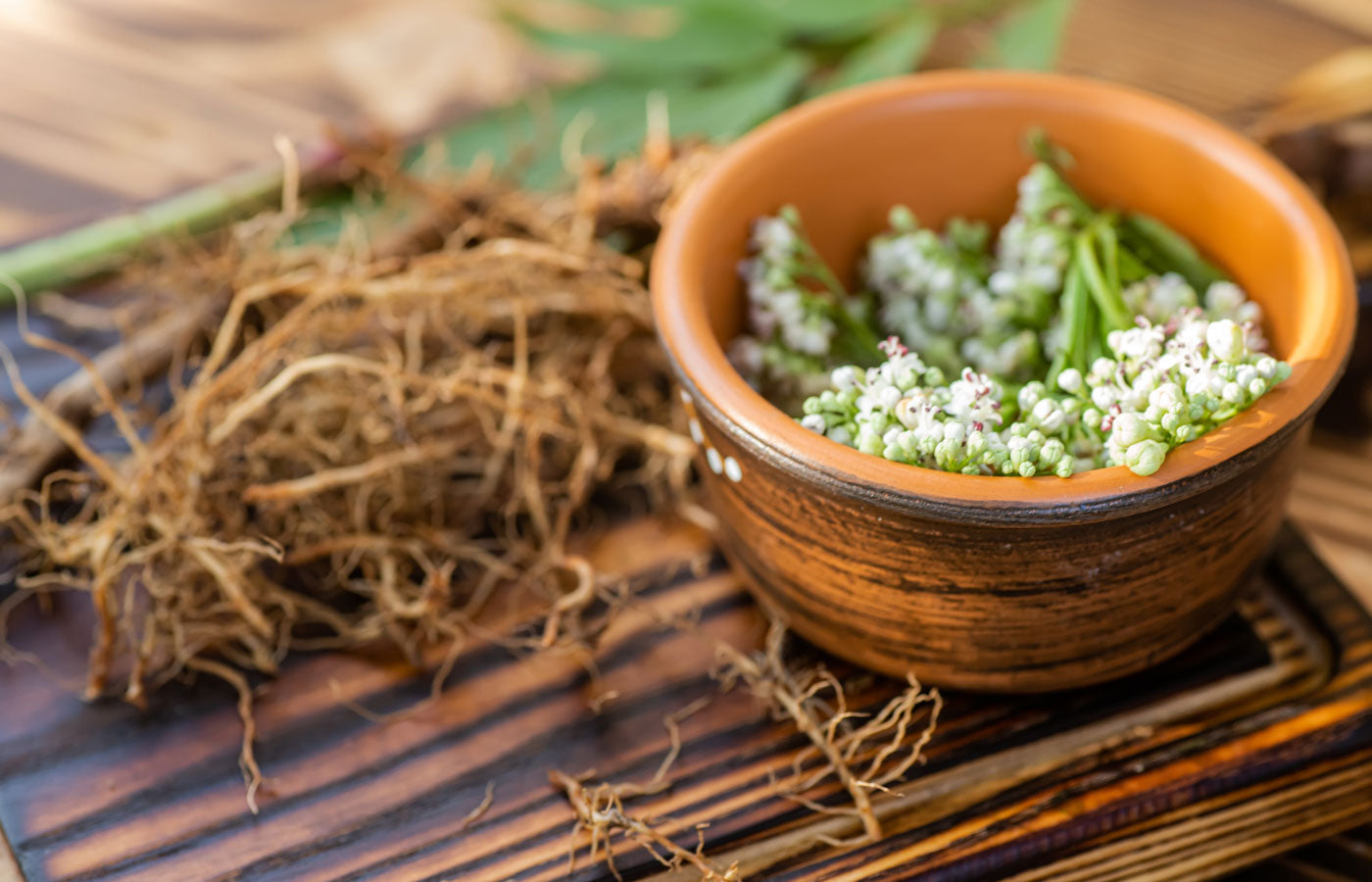 Organic Valerian Root
