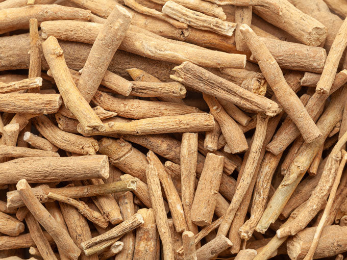 Close-up of dried ashwagandha root