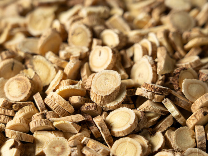 Close-up of sliced astragalus roots.