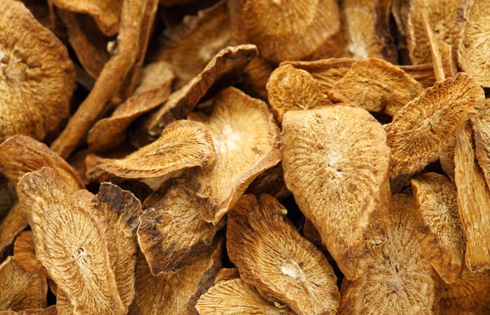 Close-up of dried burdock root