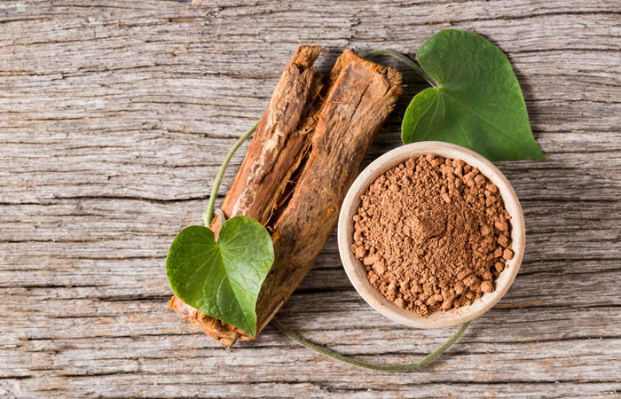 Cat's claw root and powder in a bowl on a wooden surface