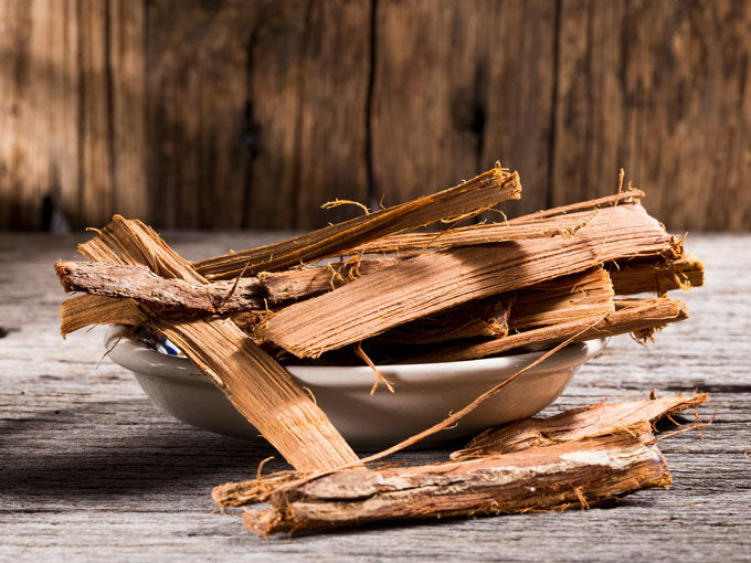 Dried Cat's claw bark in a white bowl on a wooden surface