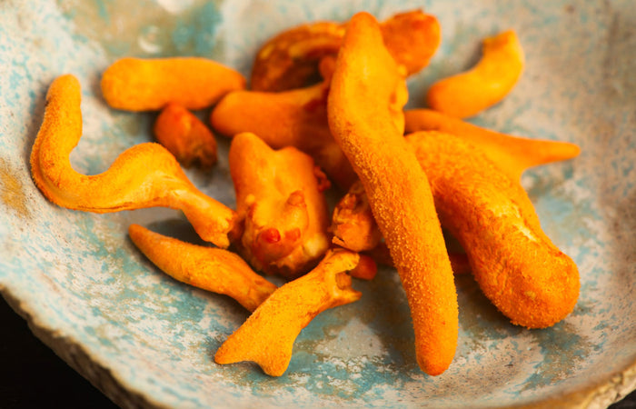 cordyceps pieces on a textured ceramic plate