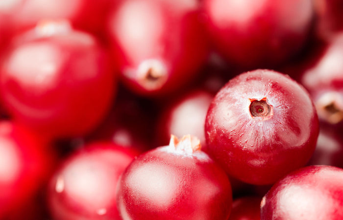 Close-up of red cranberries with a blurred background