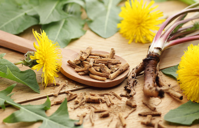 Dandelion roots and flowers on a wooden surface