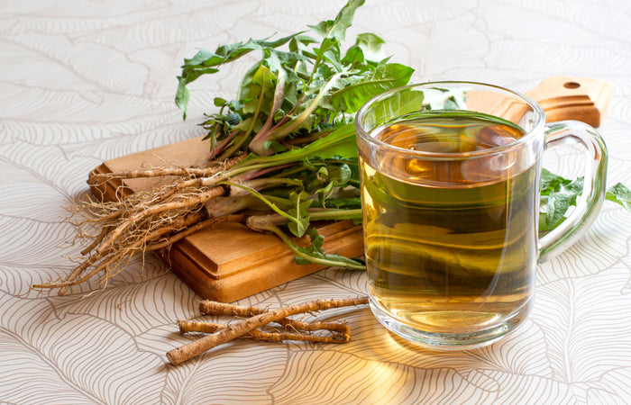 Glass mug of green tea with dried herbs on a textured surface