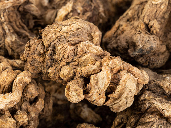 Close-up of dried dong quai roots or herbs with a brown and beige color.