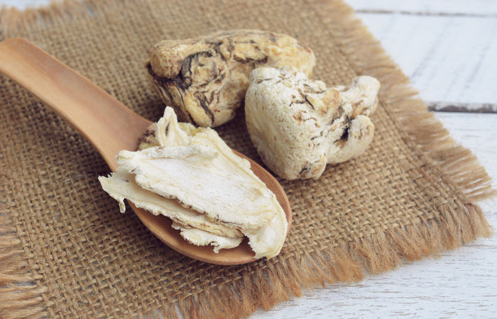 Dried dong quai root on a wooden spoon and burlap cloth