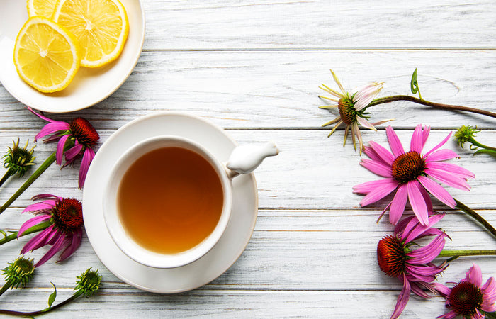 Teacup with lemon slices and pink echinacea flowers on a wooden surface