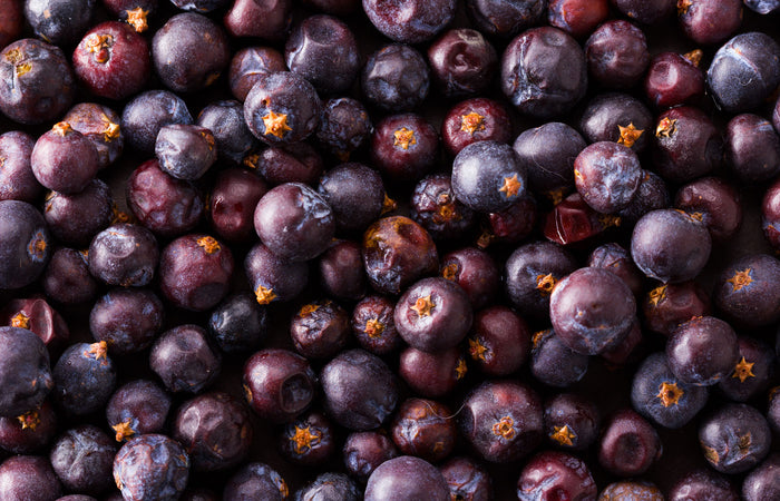 Close-up of dark purple elderberries with a star-like pattern on a dark background