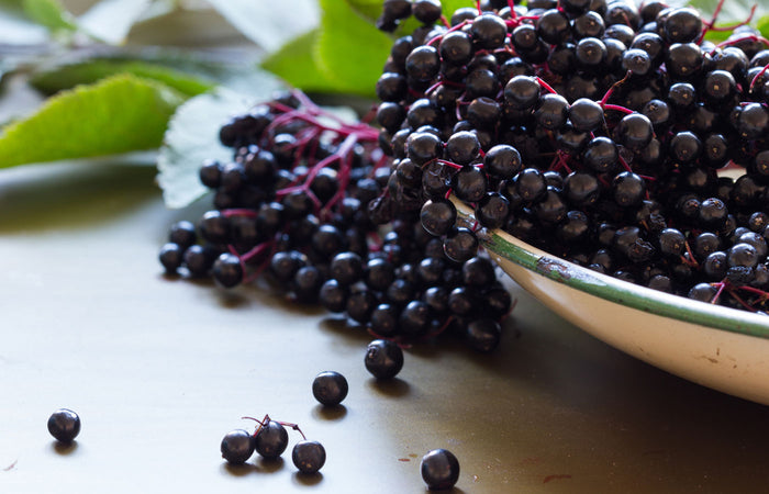 Bowl of elderberries with some scattered on a surface