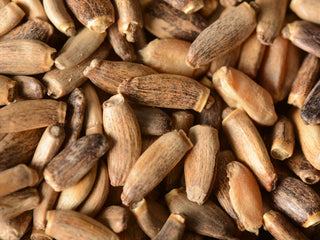 Organic Milk Thistle Seed
