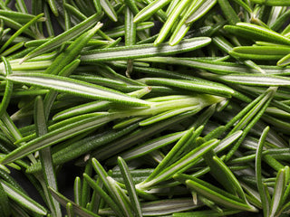 Organic Rosemary Leaf