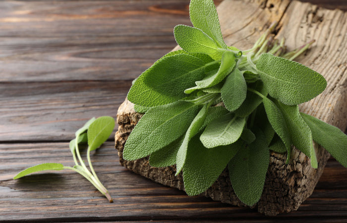 Fresh sage leaves on a wooden surface