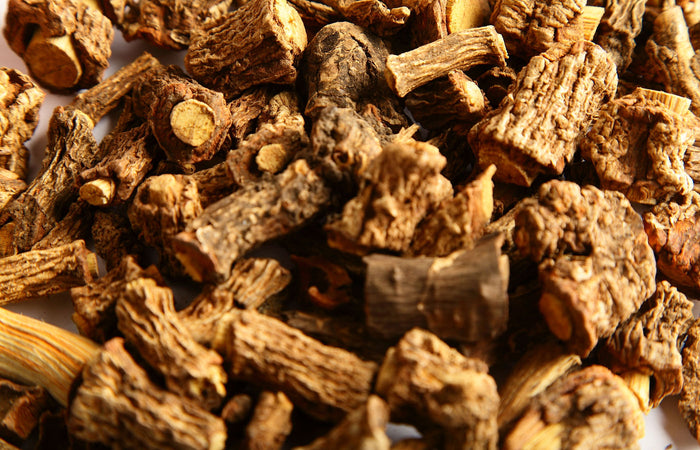 Close-up of dried sarsaparilla roots 