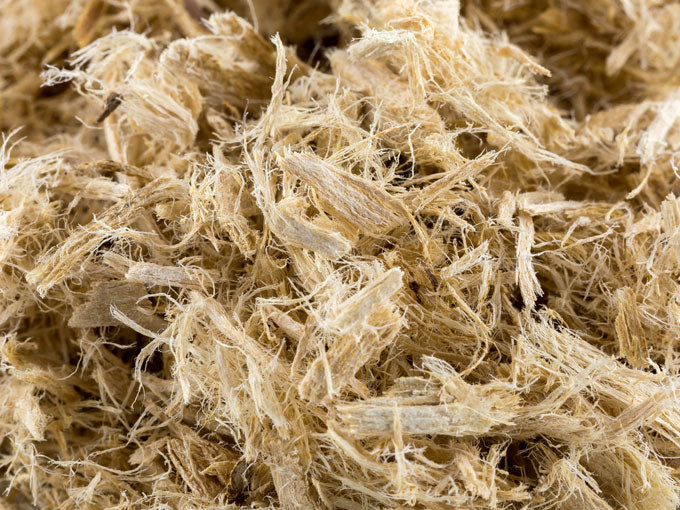 Close-up of slippery elm bark