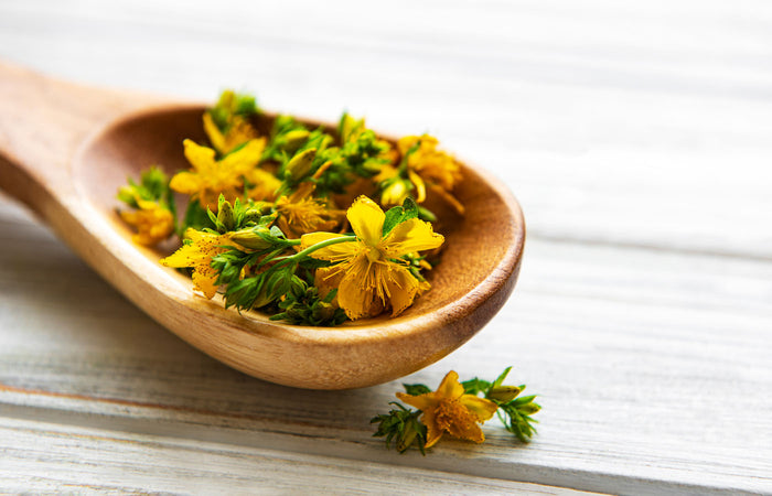Wooden spoon filled with St John's Wort flowers on a light wooden surface