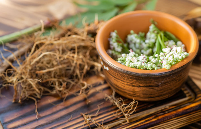 Herbal valerian  roots and a bowl of valerian flowers on a wooden surface