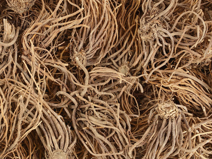Close-up of dried valerian root with a brown color.