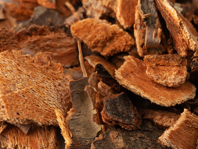Close-up of wild cherry bark  