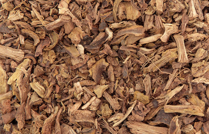 Close-up of yellow dock root