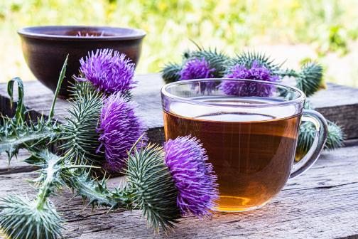 Organic Milk Thistle Tea